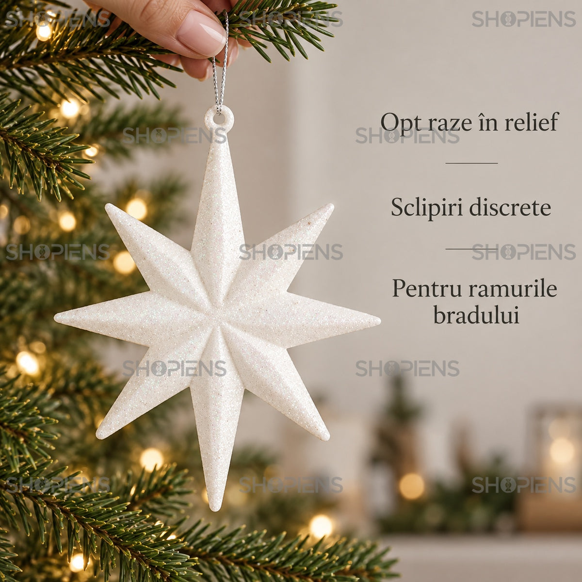 Stea cu opt raze în relief – detalii decorative – Shopiens