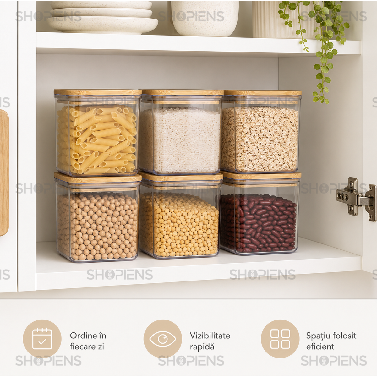 Set 6 recipiente depozitare alimente, pentru camara, 1l, plastic
