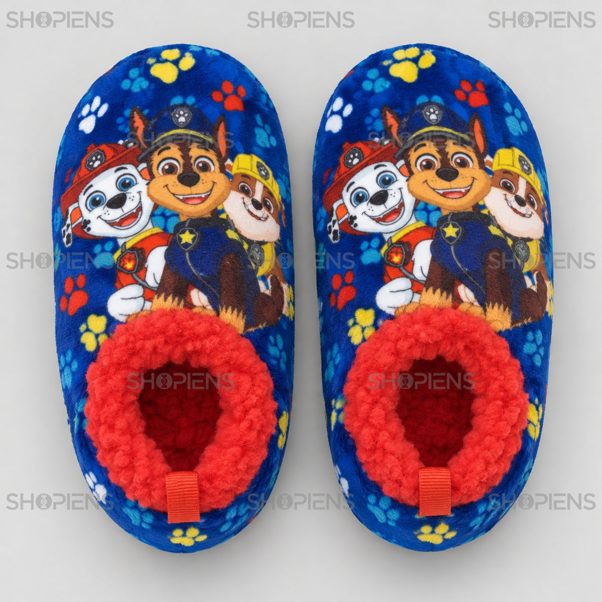 Botoșei albaștri cu cățelușii Paw Patrol — vedere de sus